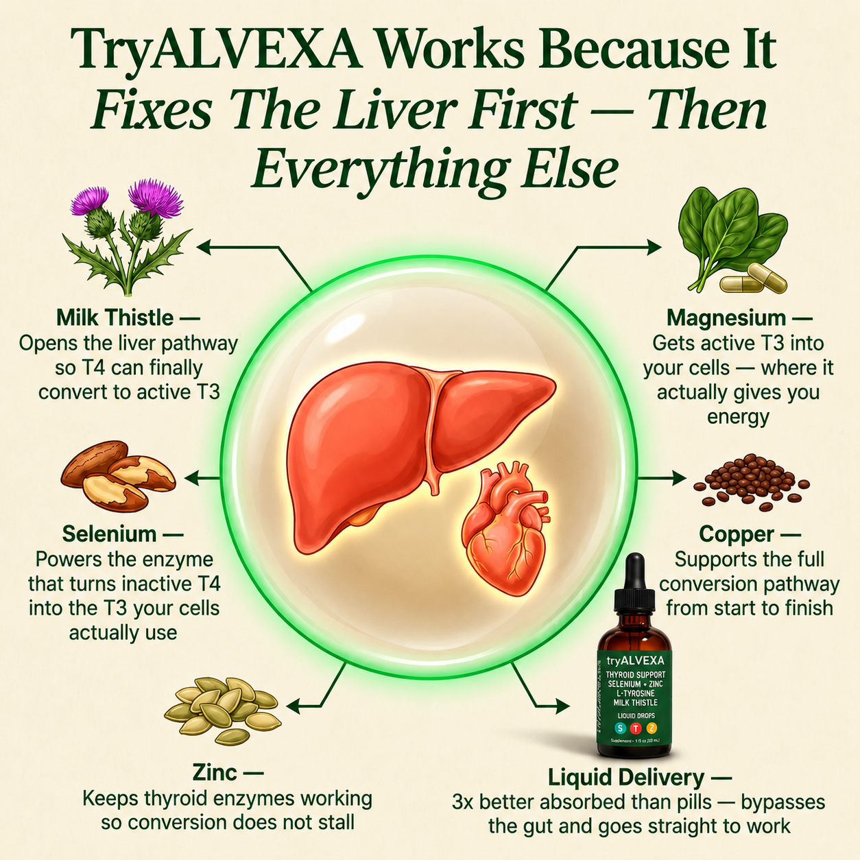 TryAlvexa Thyroid Balance